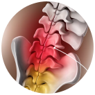 Zoomed Spine Section